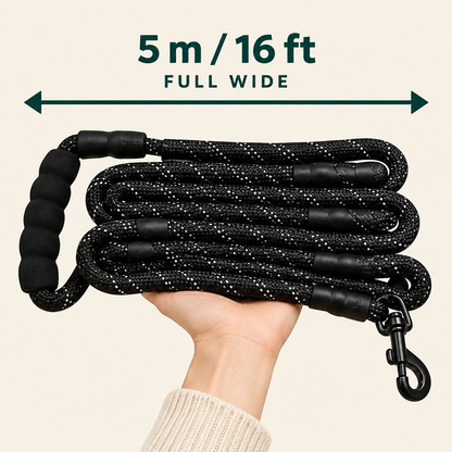 Doglette Calm Walking Set