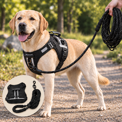 Doglette Calm Walking Set