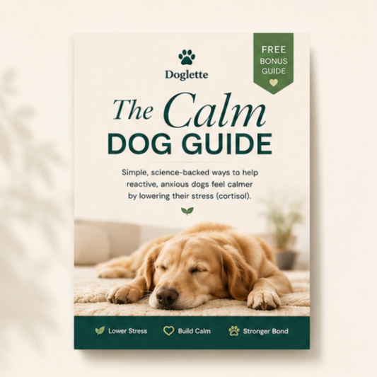 The Calm Dog Guide — Free Gift