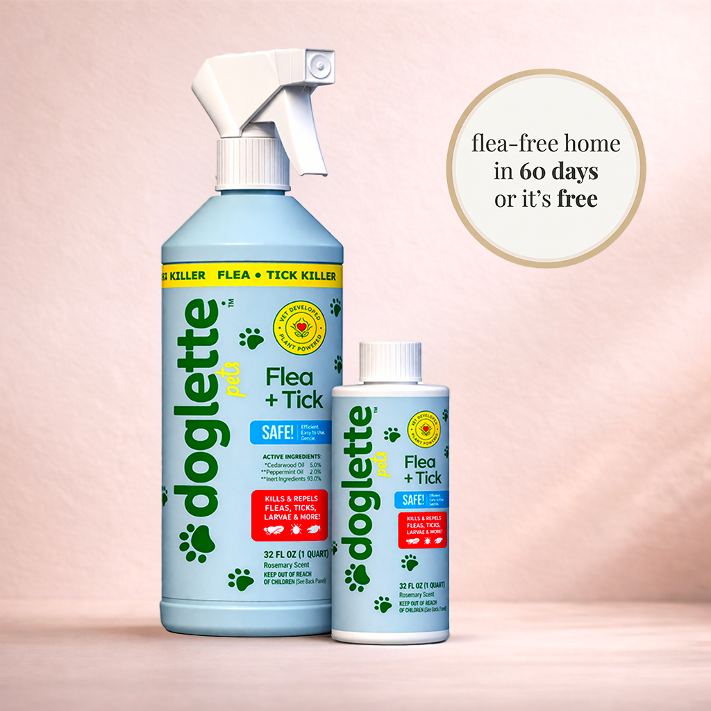 Anti Fleas & Ticks Spray