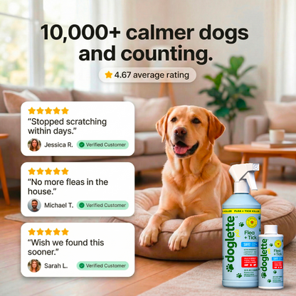 Anti Fleas & Ticks Spray