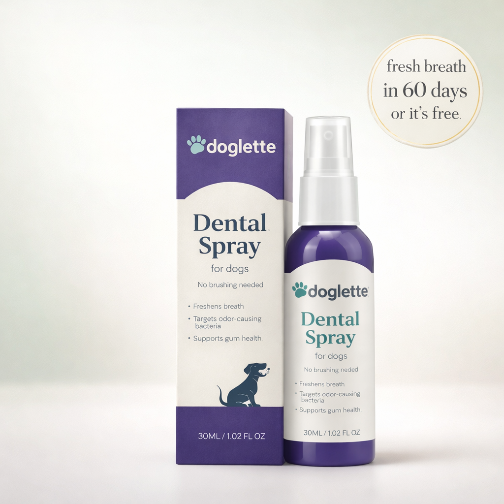 Doglette Dental Spray