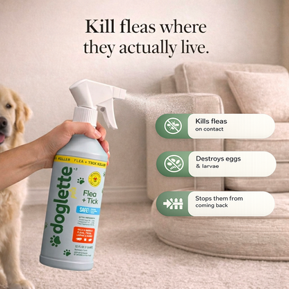 Anti Fleas & Ticks Spray