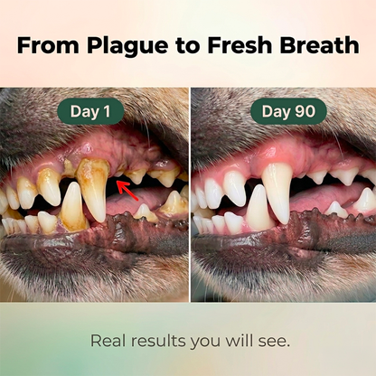 Doglette Dental Spray