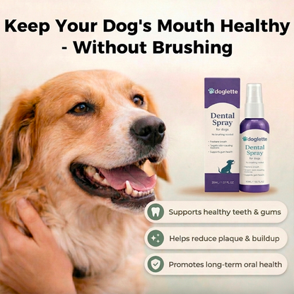 Doglette Dental Spray