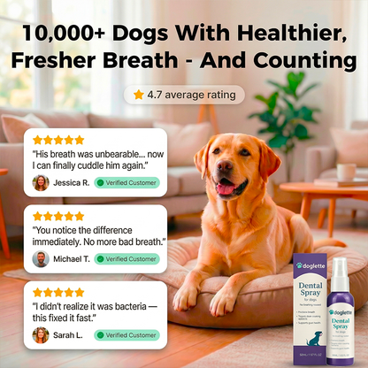 Doglette Dental Spray