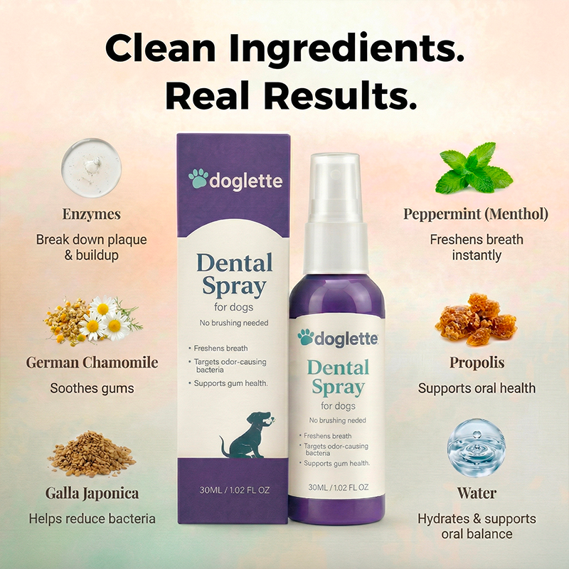 Doglette Dental Spray
