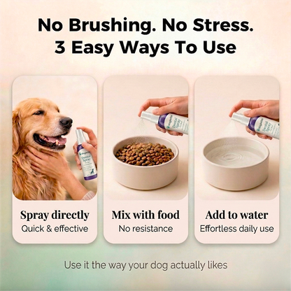 Doglette Dental Spray